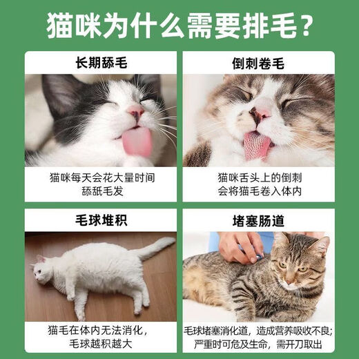 Du Lailin Beibao Cat Grass Biscuits Cat Mint Cat Hair Remover Small Fish Dried Kittens Adult Cat Teeth Cleaning and Molaring Sticks Cat Snacks Bebao Cat Grass Biscuits 120g*2 cans