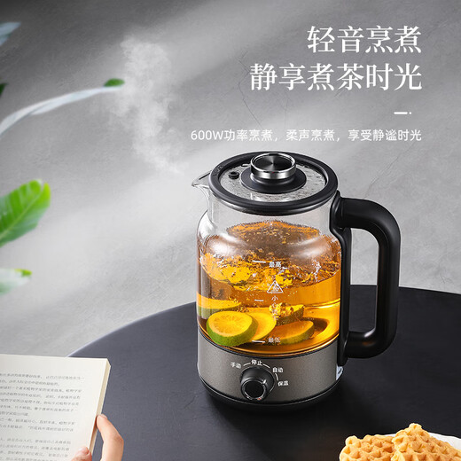 Biooner tea kettle pure titanium tea kettle steam spray type steaming tea constant temperature insulation kettle health kettle electric kettle office tea kettle B27 titanium