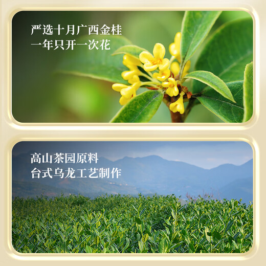 Tianfu Tee Oolong Tee Oolong Tee Osmanthus Blume Tee Level 300g Geschenkbox Tee Selbst trinkende Geschenkbox Geschenkbox