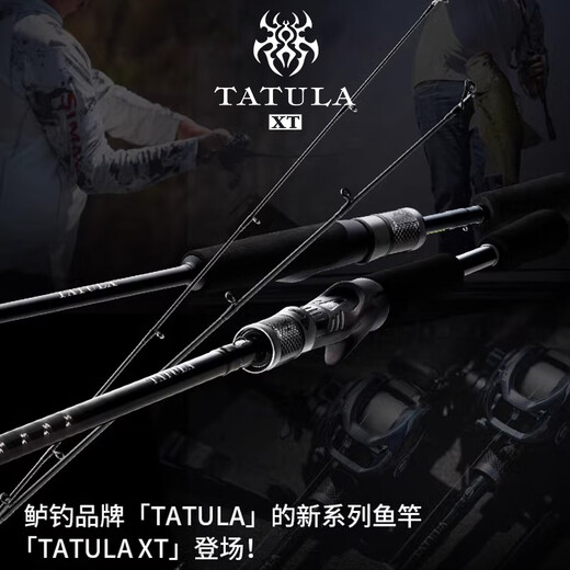 Daiwa 24 Nouveau produit Tatula Xt Spider Perch Perch Mandarin Fish Universal Lure Long Throw Rod 2,03 METTER