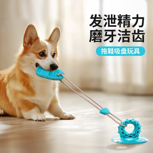 Qi Oh dog toy suction cup, bite-resistant suction cup to relieve boredom, self-pleasure tool, border collie, energy-consuming puppy toy, pet supplies, bite-resistant suction cup-blue