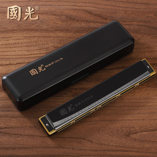 Guoguang Shanghai 28-Loch-Stress-Harmonika für erwachsene professionelle Leistungsstufe polyphonischer C-Touch-Weitweite für Anfänger Wide Range-Stress Silber + Standard