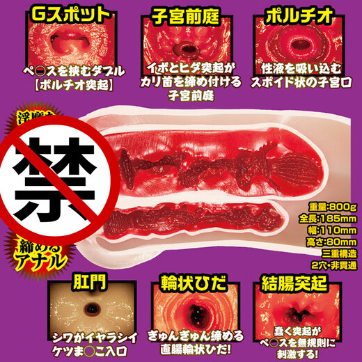 NPG 飞机杯男用 免充气半身娃娃 成人情趣用品性玩具 男用自慰器 日本名器倒模 双通道名器证明004