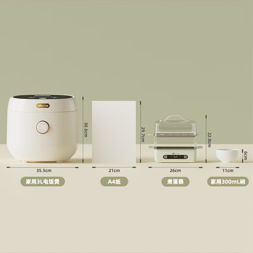 小熊（Bear）煮蛋器 蒸蛋器 智能电蒸锅小型2-3人用自动断电 家用多功能早餐机煮鸡蛋神器ZDQ-B06N3 