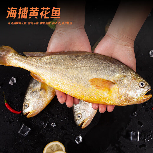 Domestic seafood gift box big gift box Dongxingban Qingqing lobster abalone gift box Dragon Boat Festival gift box 688 gift box [Lobster abalone pompho gift box]