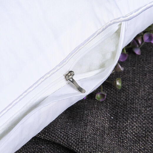 Antarctique Cassia Seed Oreiller de couchage en trois dimensions Core Core Oreiller cervical adulte à porte unique, Forfait combiné avec couvercle d'oreiller en coton complet