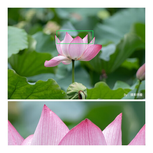 Mingjiang 500mm F6.3 full-frame super telephoto telephoto lens suitable for X mount E mount Z mount RF mount L mount camera Mingjiang 500f6.3 fixed focus lens Sony FE mount official standard package free UV+ND