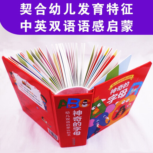 【京仓速发全新正版】幼儿双语启蒙认知书：神奇的字母蒋庆利吉林出版集团