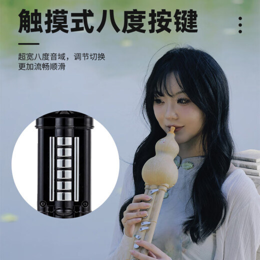 Chinas Reim elektrischer Hulusi -Musikinstrumente Hausinstrumente elektronischer Blasrohr Hulusi elektronischer Flöte Elektrische SA -Anfänger -Musikinstrumente Honghuapei