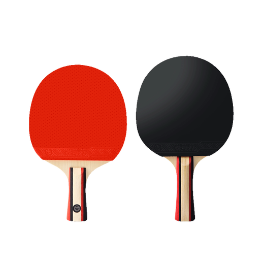 京东京造 入门级乒乓球拍学生成人比赛训练横直拍对拍套装 含拍包三只球