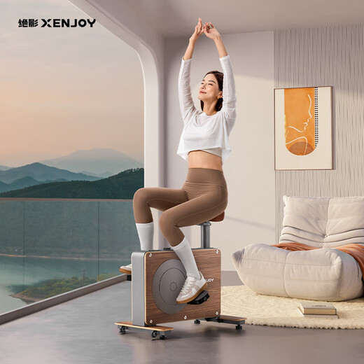 Jueying XENJOY small wooden horse dynamic bicycle household indoor bicycle fitness equipment aerobic exercise weight loss exercise Jueying household leisure bicycle walnut version