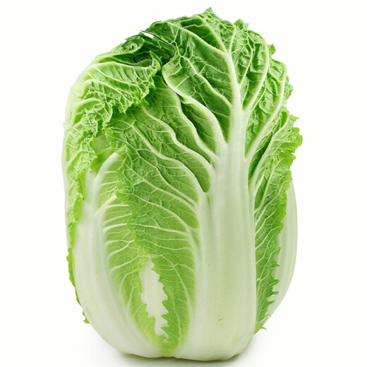 Shouhe Chinese cabbage seed seedlings, winter and spring vegetable seeds for field planting, Weiyu Qiubao cabbage seeds 10g*5 bags