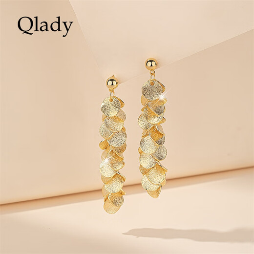 Qlady metal temperament niche tassel unique earrings for women 2025 new high-end silver earrings women's earrings earrings gift