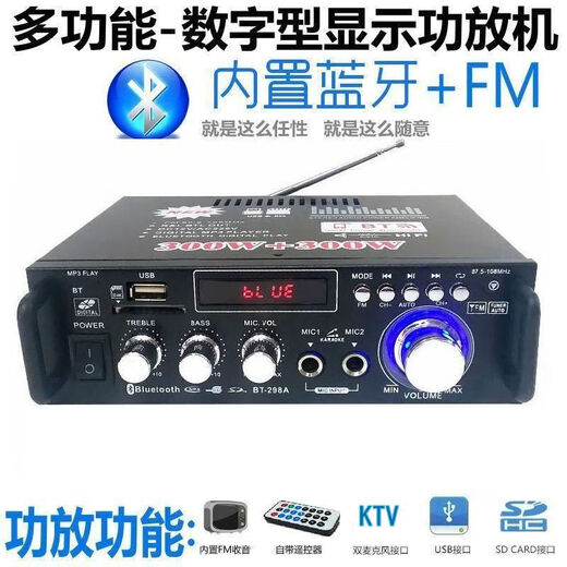 桐汝壁适用于蓝牙功放机家用大功率迷你小型功放器220V12伏车载插卡FM收 BT699D(有蓝牙)