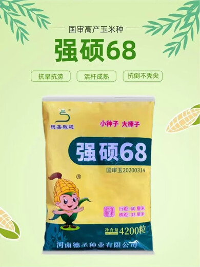 New species in stock, nationally approved original Qiangshuo 68 corn seeds, high-yield corn seeds, drought-resistant pioneer, high-yielding, drought-resistant, not bald. New species in stock, original nationally approved Qiangshuo 68 4200 grains 1 bag