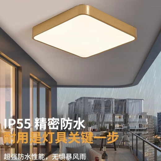 禾灵全铜户外吸顶灯别墅入户门门前灯过道阳台防水家用防虫方形露台灯 X3893/大号50cm/三色可调