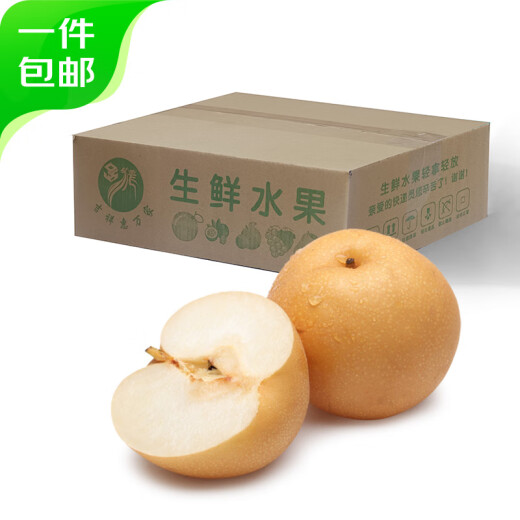 Beijing fresh mutton fat Qiuyue rock sugar pear net weight 2.8 Jin [Jin equals 0.5 kilogram] or more 4-6 pieces of seasonal fresh fruits delivered directly from the source