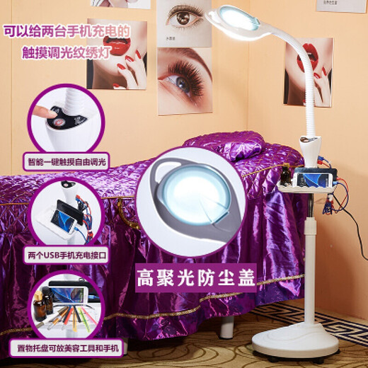 Meng Qier Lámpara de belleza Lámpara de bordado con patrón LED Luz fría Manicura portátil, pestañas, acné, acné, cejas Cirugía microplástica Lámpara de pie Versión de 65 vatios con atenuación táctil de polea