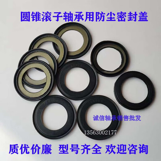 Staubschutz-Dichtungsdichtung 768906 30203 32004 Serie Kegelrollenlager, nicht standardmäßige Teile 11949 Staubschutz 10 Stück