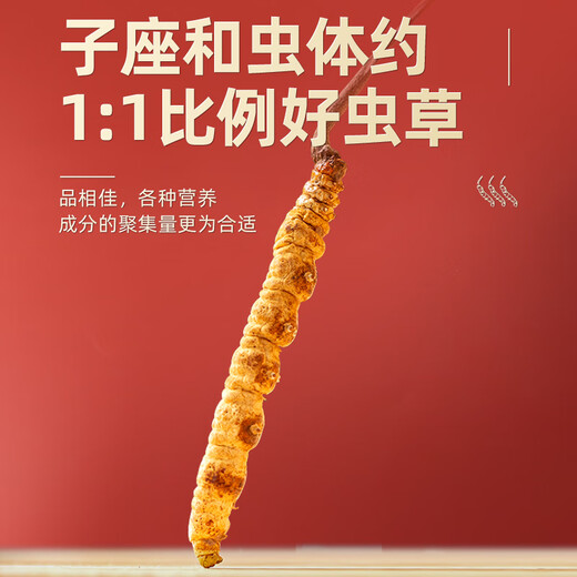 Juhetai Cordyceps sinensis gift box 40 tubes 10g New Year's Day New Year's Day gifts for parents and elders healthy nutritional supplements