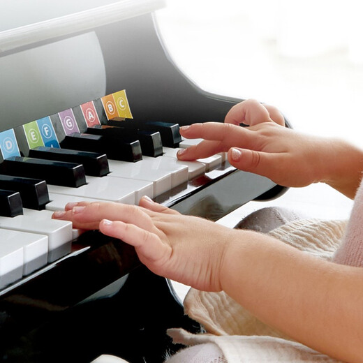 Hape Music Toys 25 key para niños de madera para niños Música de 3-6 años Juguetes Educación temprana REFT PIANO PIANO RED 3-6Y