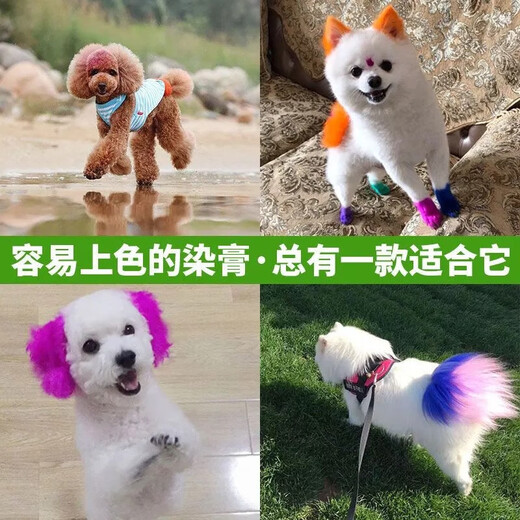 Dog hair dye, pet-specific VIP Bichon Teddy animal dye, cat dye, hair dye, Pomeranian long-lasting violet