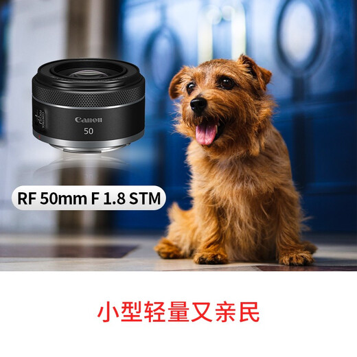 Canon RF50mm F1.8 full-frame small spittoon mirrorless fixed focus lens large aperture portrait lens RF50mm F1.8 STM