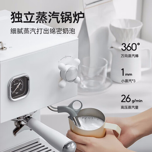 Baicui Kaffeemaschine Dual-Kessel Doppelwasserpumpe Haushalt Retro Full Semi-Auto Italienische Kaffeemaschine mit Dampfmilch Schaum kleiner All-in-One