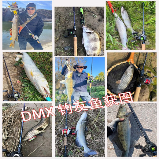 DMX路亚竿CAVALRY骑士Fuji导环专业枪柄直柄路亚竿30t高碳纤维路亚竿 2.03米 C682ML 枪柄 3.5-18g
