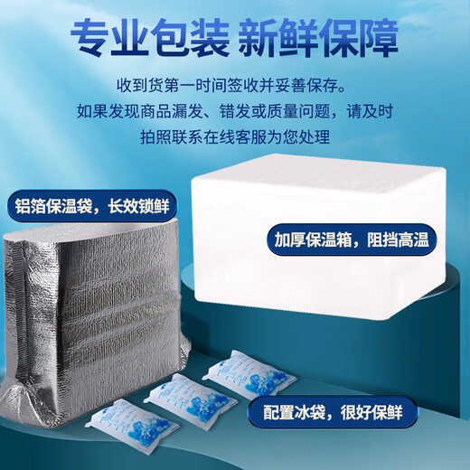 Hunyuan Beast Shrimp Domestic Qingdao Freshly Caught Prawn Extra Large Green Prawn Frozen Sea Shrimp Fresh Shrimp White Shrimp Qingdao Salt Frozen Prawn 3-4Jin Jin equal to 0.5kg (net weight) 15-18cm (recommended by the store manager)