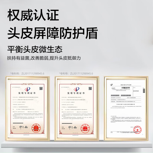 柏缇北非雪松控油蓬松洗发水 清爽去屑止痒留香氨基酸洗发露 505ml 