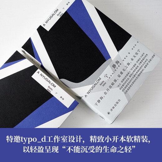 [Nouveau authentique] Ning Shihai («L'héritier du nom de Milan Kundera» œuvre représentative de Baltis Attila, comparable au lauréat du prix Nobel Jelinek <Piano Teacher>) [Hongrie] Baltis Attila 9787547 ** 677 Yilin Publishing House