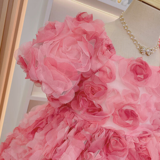 Anne Youer Girls Dress Summer 2025 New Children's Internet Celebrity Three-dimensional Flower French Princess Dress Girls Summer Dress Pink 110