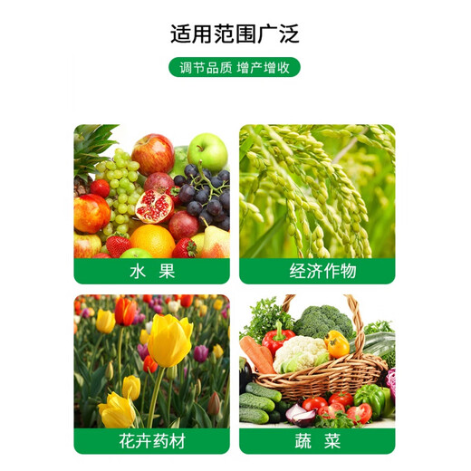 Dapeng 24-Epibrassinolide 0.01% flower, fruit and vegetable growth regulator that reduces flower and fruit drop 500ml