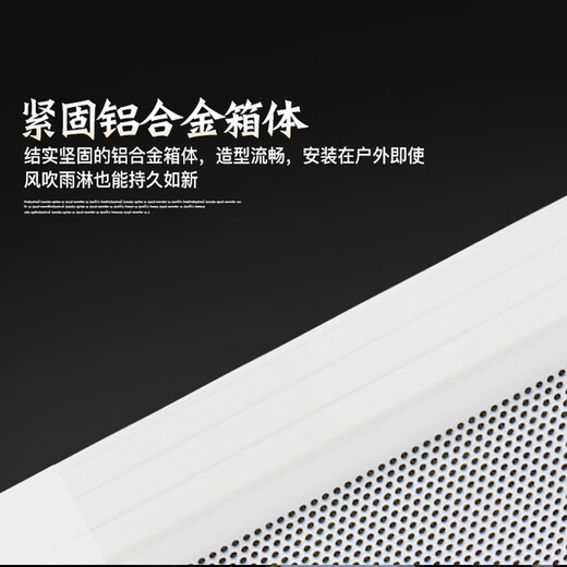 先科（SAST）40W户外无线蓝牙防水音柱室外挂墙壁挂式音响功放喇叭套装音箱学校操场会议广播店铺音乐 主机