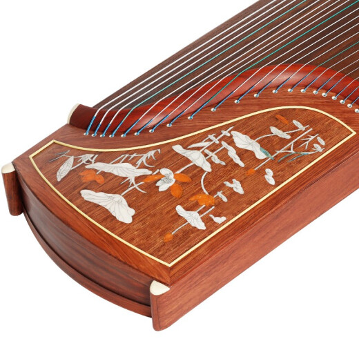 Dunhuang Brand Dunhuang Guzheng Examen de grado para niños Guzheng pequeño Guzheng tocando profesionalmente instrumentos musicales 696/689/694 694l loto + juego completo de bolsas de regalo
