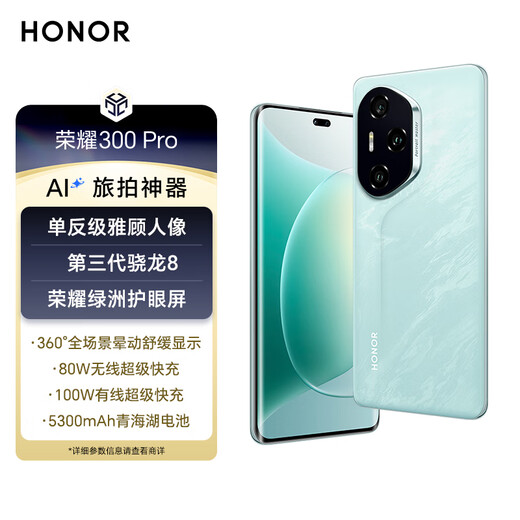 荣耀300 Pro 单反级雅顾人像 荣耀绿洲护眼屏 12+512 茶卡青 5G AI 新款 拍照手机 国家补贴