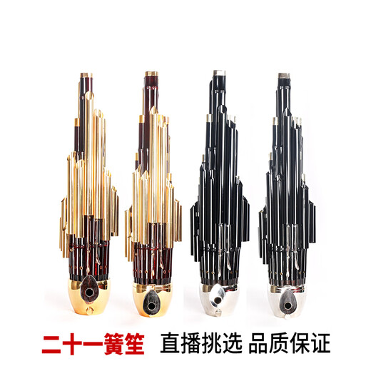 岐为精致加键扩音21簧笙乐器大全圆笙修笙工竽乐器笙包初学者 21簧漆金专业活斗笙【黄管】-D调