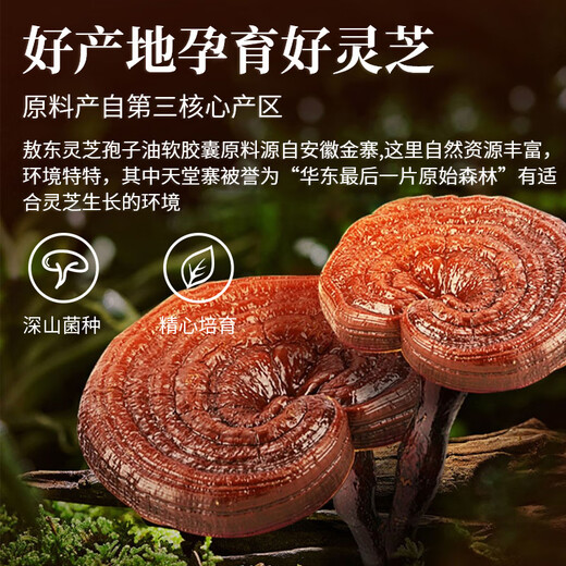 Aodong Ganoderma lucidum Spore Ölweichkapsel 30 g*3 Flaschen, gebrochene Wand Ganoderma lucidum Sporenpulver, Nahrungsergänzungsmittel mittleren Alters, um die Immunität zu verbessern
