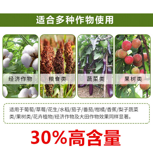 Pyraclostrobin 30% pyraclostrobin bacterial resin downy mildew powdery mildew anthracnose leaf spot rice blast fungicide 500g