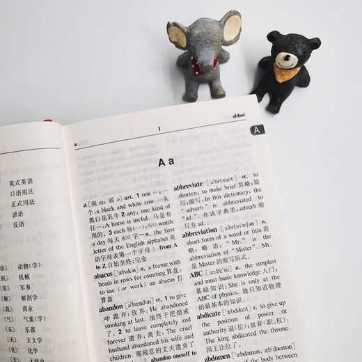 Students' English-Chinese Dictionary (Large Character Edition)