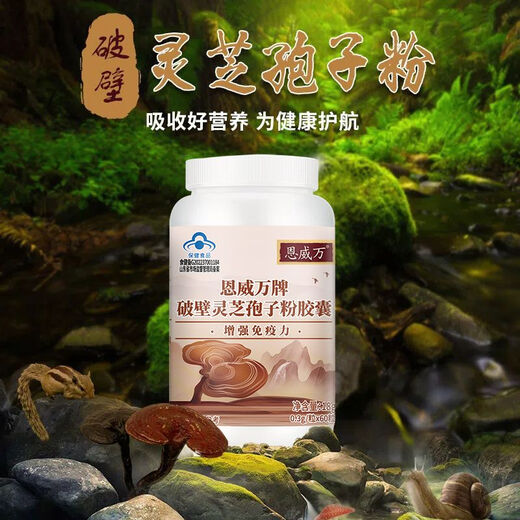 
Enwei Wan [9 bottles 540 capsules] Breaking wall Ganoderma lucidum spore powder capsules with high content easy absorption to enhance immunity of elder parents h nine bottles