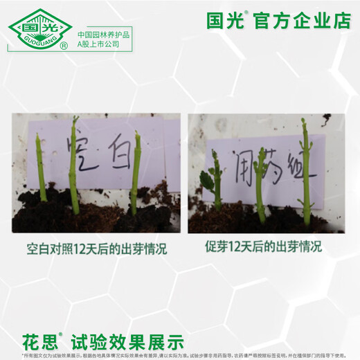 Guoguang Huasi 2% benzylaminopurine cytokinin flower and fruit tree flower bud-preserving flower and fruit conditioner 25 ml