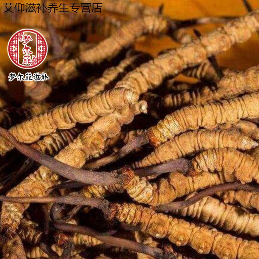 Ivanmai Authentic Cordyceps Cordyceps Cordyceps Cordyceps non-broken grass tube pack super large root gift box Liangshan Yifanmai Yifan five roots one bottle trial package