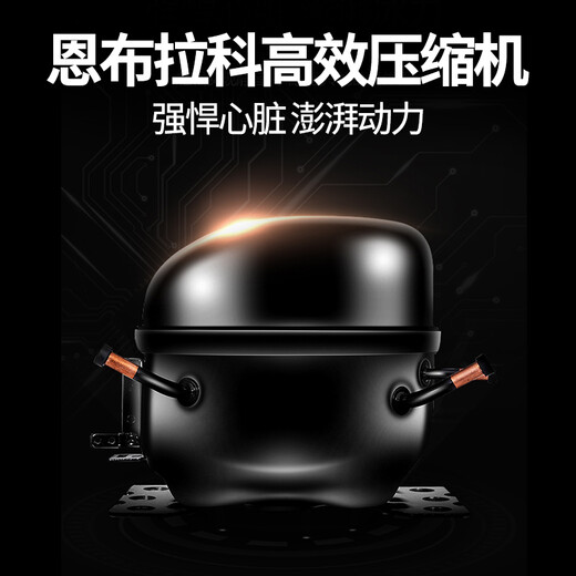 Seclusion and fame handleless touch door embedded red wine cabinet constant temperature wine cabinet tea beverage cabinet frost-free air-cooled heat-free frequency conversion wine cabinet fully embedded wine cabinet 696 height single temperature black/variable frequency 36 bottles