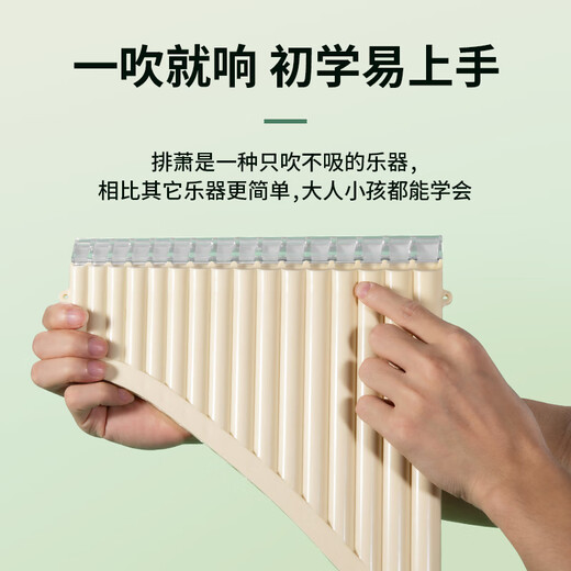 YTK儿童排箫18管中小学生课堂推荐入门级排笛初学者易学16管排箫乐器 [课堂推荐]18管粉色+初学大礼包