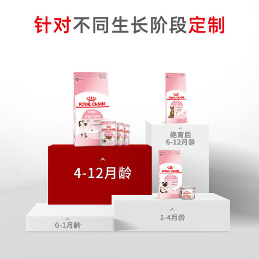 Royal Pet Cat Food Kitten Cat Food K36-Suitable for 12 months old 50g