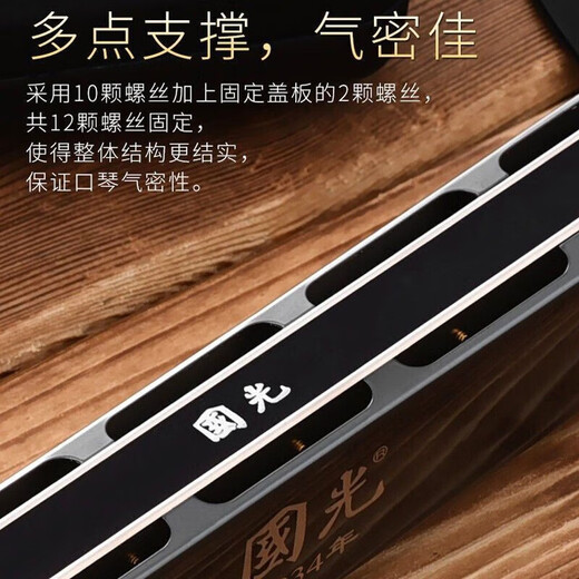 国光国光进口音簧国光28孔口琴重音复音C调高级成人初学专业演奏高端 24孔C调演奏款黑色复音