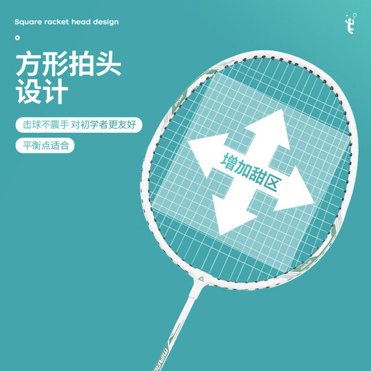 匹克 羽毛球拍对拍耐打成人学生套装训练比赛拍FT-J88 天堂粉/天使蓝