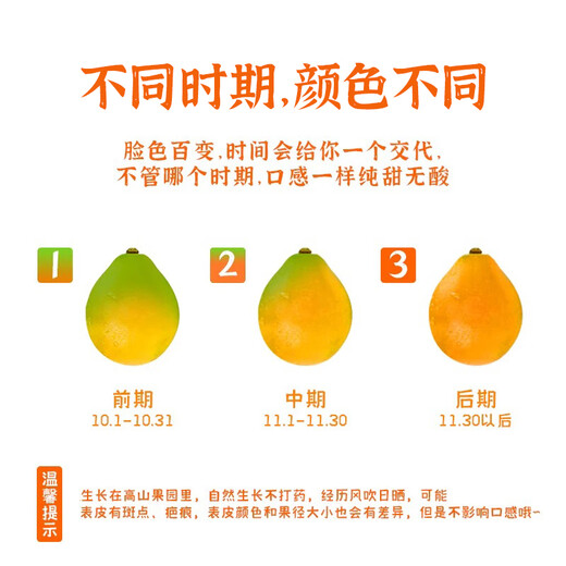 京鲜生 融安金桔/脆蜜金柑 净重1斤 单果18g起 生鲜水果